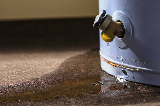 Best Water damage cleanup near me  in Pinecrest, FL