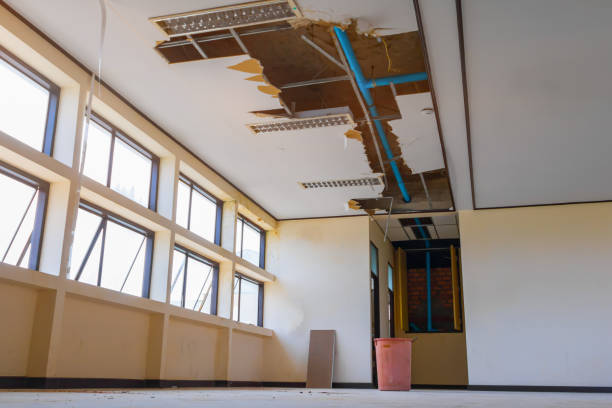 Best Sewage cleanup and water damage restoration  in Pinecrest, FL