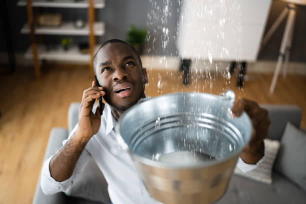 Best Water damage contractors near me  in Pinecrest, FL
