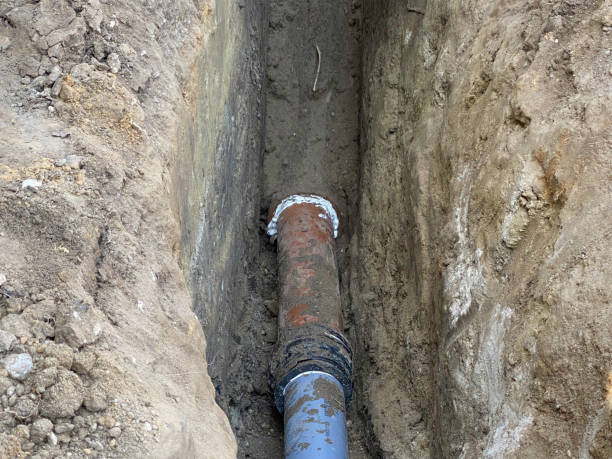 Best Flood restoration services  in Pinecrest, FL
