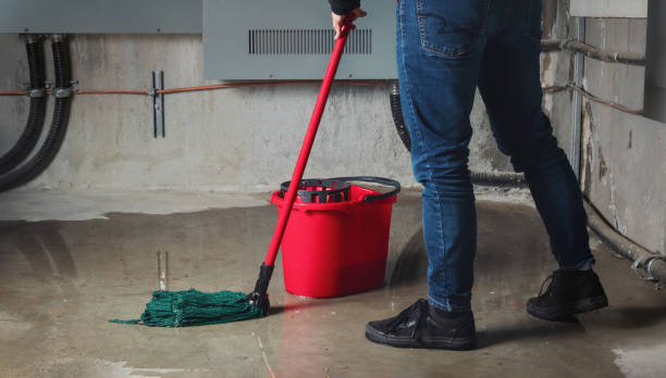 Best Local water damage restoration  in Pinecrest, FL