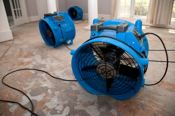 Best Emergency water damage restoration  in Pinecrest, FL