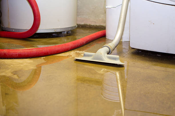 Best Flood damage cleanup  in Pinecrest, FL
