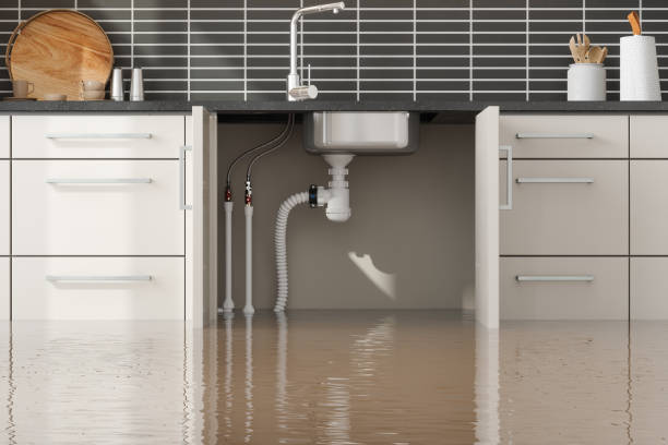 Best Mold removal after water damage  in Pinecrest, FL