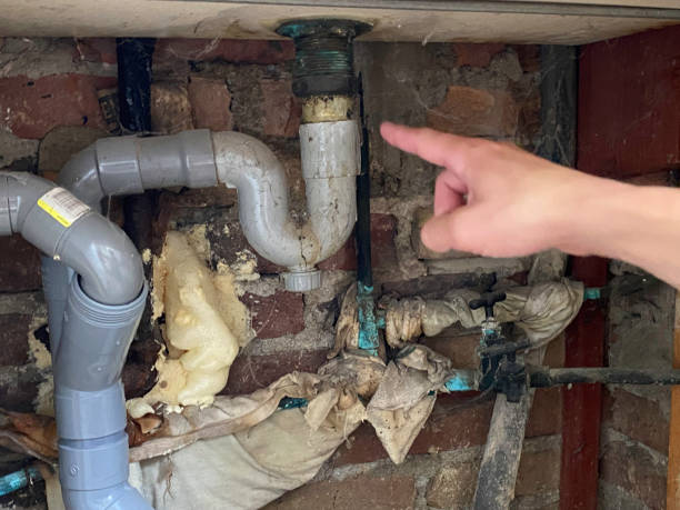 Best Water damage restoration process  in Pinecrest, FL