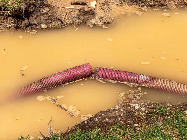 Best Water damage restoration near me  in Pinecrest, FL