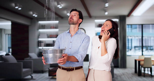 Best Water damage restoration near me  in Pinecrest, FL