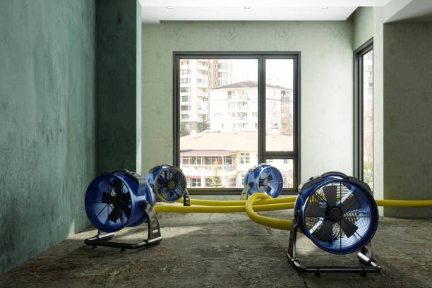 Best 24-hour water damage restoration  in Pinecrest, FL